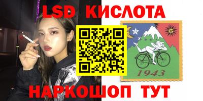 тгк Кингисепп