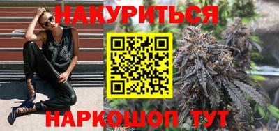 тгк Кингисепп
