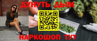 тгк Кингисепп