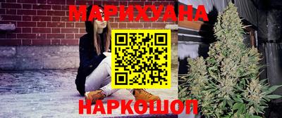 тгк Кингисепп