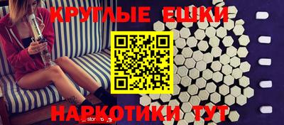 тгк Кингисепп