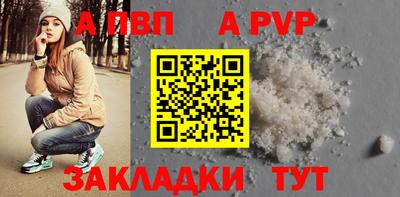 тгк Кингисепп