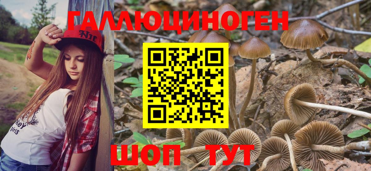 Кострома  закладка  Вход с VPN  Псилоцибиновые грибы Cubensis  Галлюциногенные грибы мухоморы 