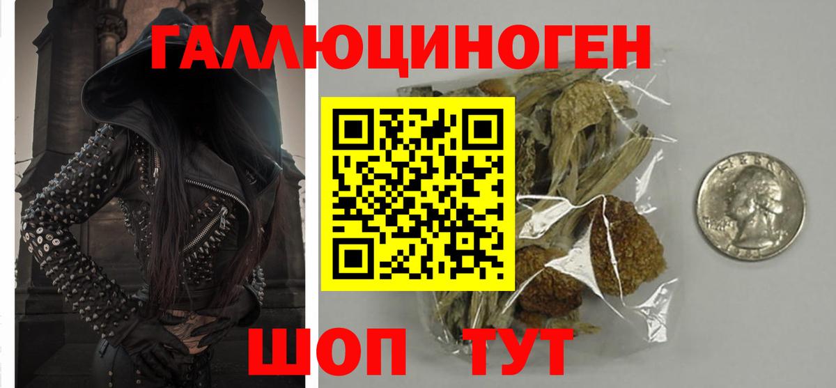 Псилоцибиновые грибы Psilocybe Кострома